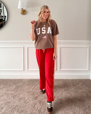 USA Flag Espresso Graphic Comfort Color Tee