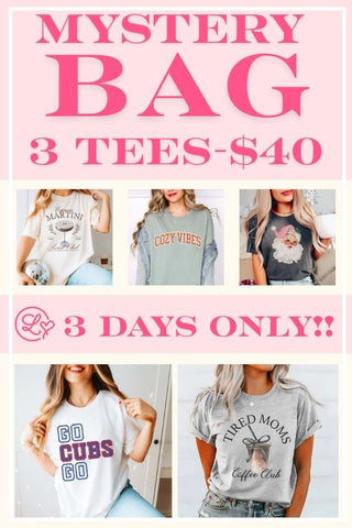 Mystery Graphic Tee Grab Bag - 3 Tees! - Limeberry Designs