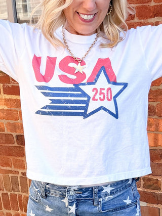 USA Large Star 250 Boxy Comfort Color Graphic Tee - Limeberry Designs