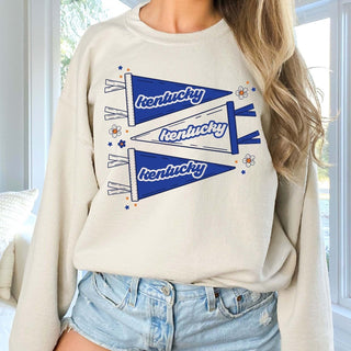 Custom Team Pennant | Crew Sweatshirts - Limeberry Designs